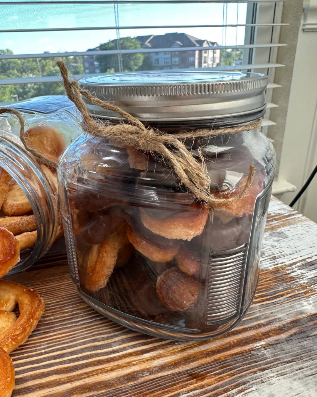 Prussiane (Palmiers)