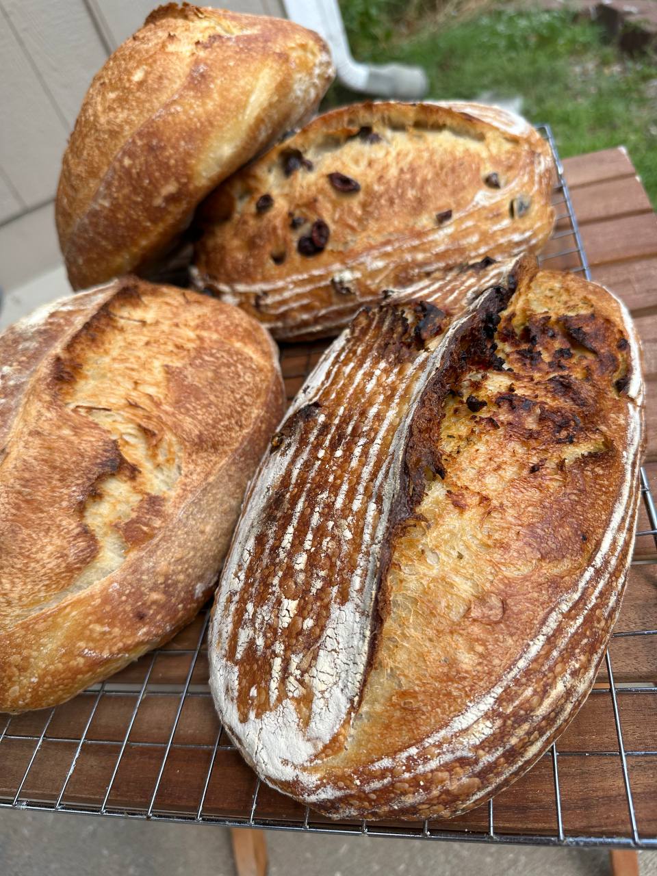 Sourdough Bread