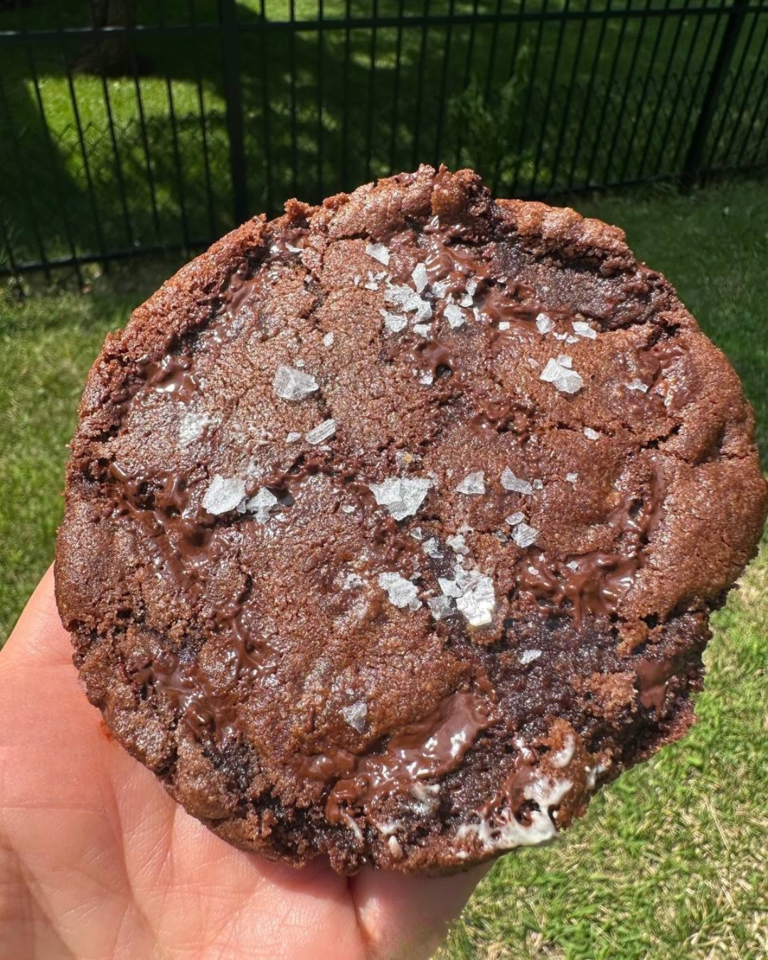 Chocolate Maldon Cookie